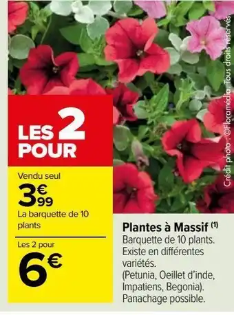 Carrefour Market Plantes a massif offre