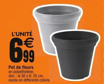 Cora x Carrefour Pot de fleurs offre