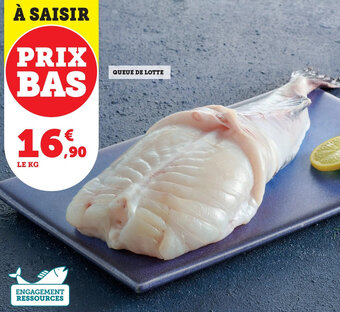 Super U Queue de lotte offre