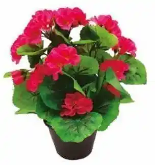 Auchan Pot de géranium artificiel offre
