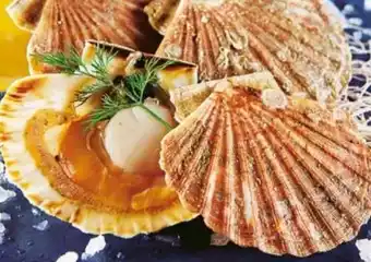 Auchan Coquilles saint-jacques offre