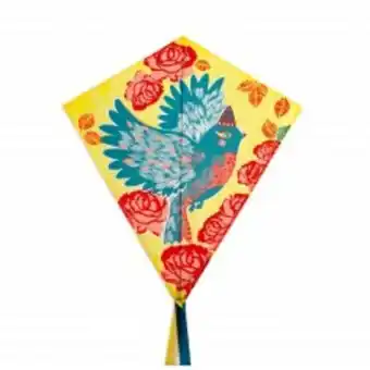 Avenue des jeux Cerf-volant : bird - djeco offre