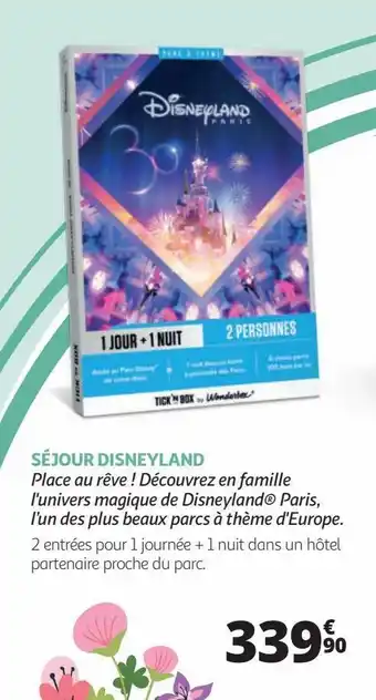 Auchan Séjour disneyland place au rêve ! découvrez en famille l'univers magique de disneyland® paris, l’un des plus beaux parcs à th offre