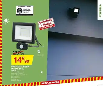 Bricomarché Projecteur Led Mural 30 W Gefom offre