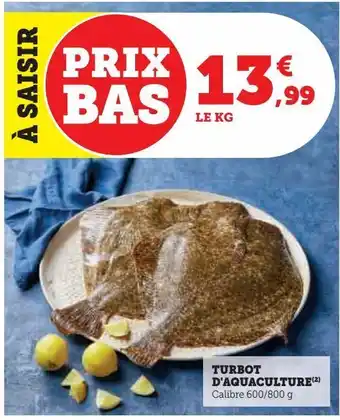 Turbot d'aquaculture