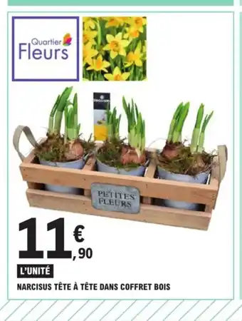 E.Leclerc Narcisus Téte A Téte Dans Coffret Bois offre