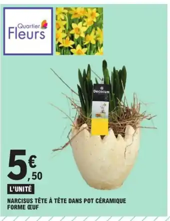 E.Leclerc Narcisus Tete A Tete Dans Pot Céramique Form Oeuf offre