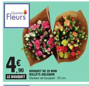 E.Leclerc Bouquet De 20 Mini Oeillets Arlequin offre