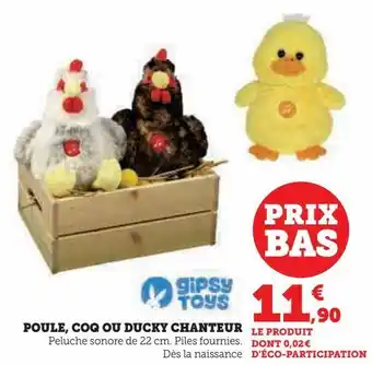 Poule, coq ou ducky chanteur gipsy tous