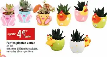 Cora x Carrefour Plantes offre