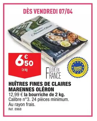 Hußtres fines de claires marennes oléron