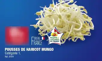 ALDI Pousses de haricot mungo offre