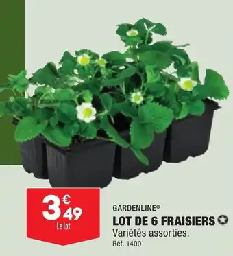Lot de 6 fraisiers