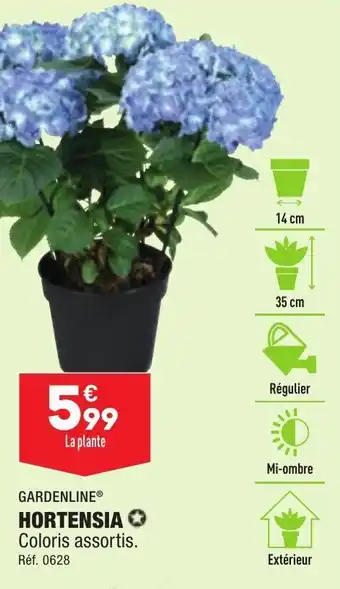 ALDI Hortensia offre