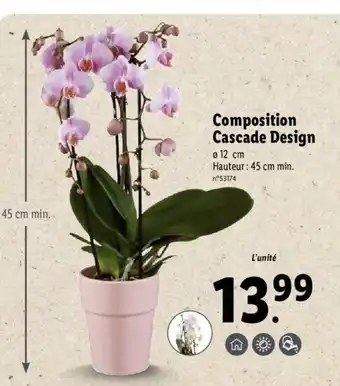 Lidl Composition cascade design offre