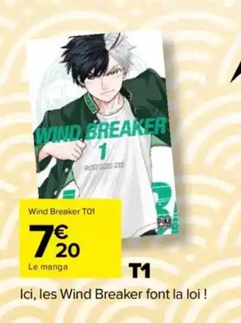 Wind breaker T01