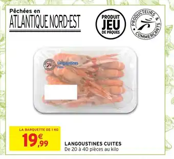Langoustines Cuites