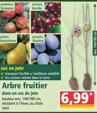 Norma Arbre fruitier offre