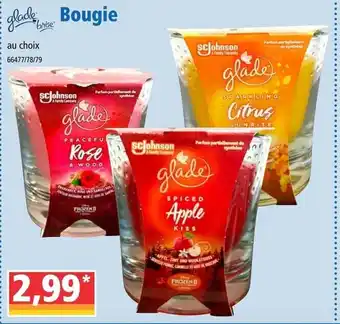 Norma Bougie offre