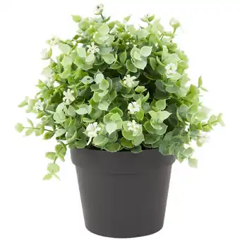 Eucalyptus artificiel en pot