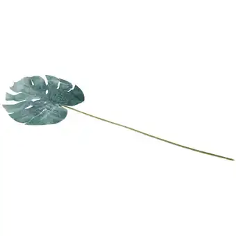 Feuille de monstera