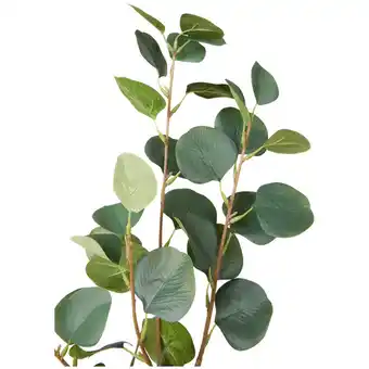 Action Eucalyptus artificiel sur tige offre