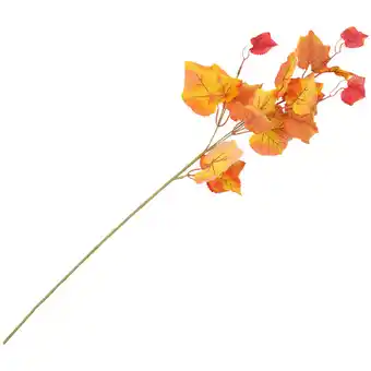 Branche d'églantier ou d'érable