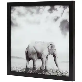Action Poster d'animaux dans un cadre offre
