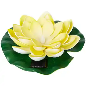Action Nénuphar solaire offre