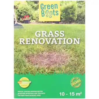 Action Semences de regarnissage de gazon green boots offre