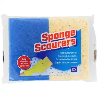 Action Éponges abrasives multy offre