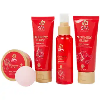 Action Coffret cadeau spa exclusives freedom offre