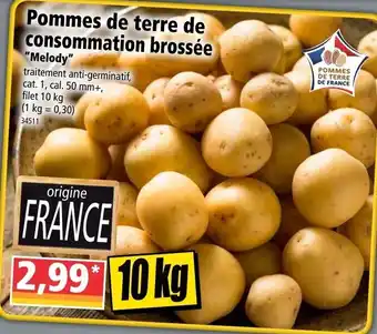 Norma Pommes de terre de consommation brossée offre