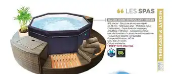 Bricomarché Spa Semi-rigide Octopus Avec Mobilier offre