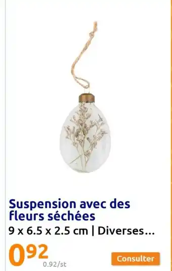 Action Suspension avec des fleurs sechees offre