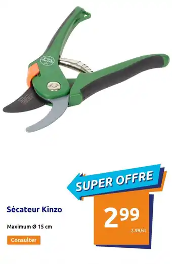 Secateur kinzo