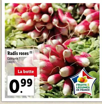 Radis roses