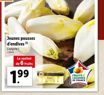 Lidl Jeunes pousses d'endives offre