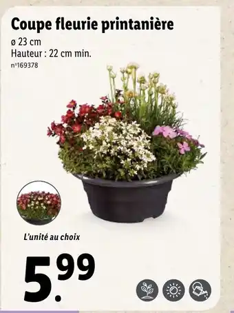Lidl Coupe fleurie printanière offre