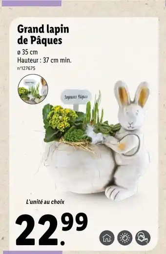 Lidl Grand lapin de paques offre