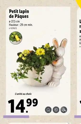 Lidl Petit lapin de paques offre