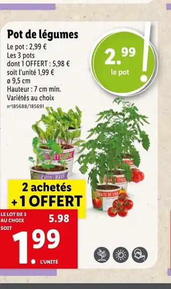 Lidl Pot de legumes offre