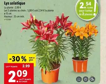 Lidl Lys asiatique offre