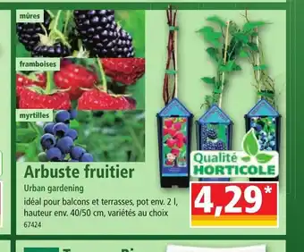 Norma Arbuste Fruitier offre