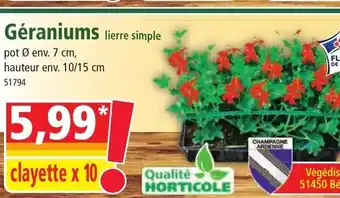 Norma Géraniums offre