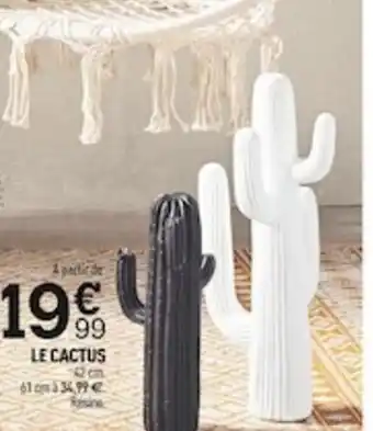 Centrakor Le Cactus offre