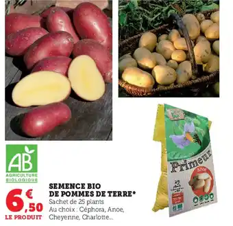 Super U Semence Bio de Pommes de Terre offre
