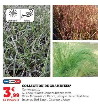 Super U Collection de Graminées offre