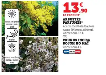 Super U Arbustes Parfumés offre