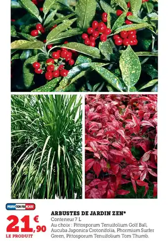 Super U Arbustes De Jardin Zen offre